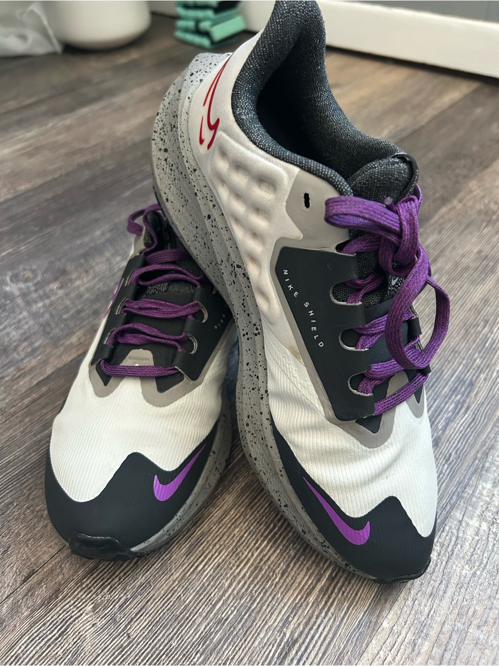 Women’s Nike Air Zoom Pegasus 39 Shield running shoes